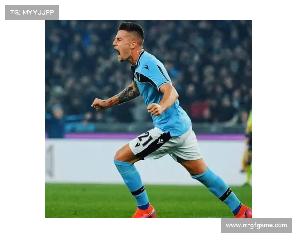 意甲VAR使用情况调查：争议判罚与技术支持平衡之道